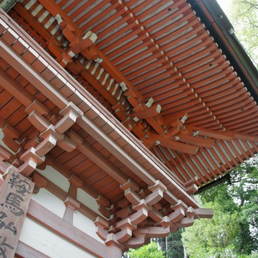 Mount Kurama, Niomon Gate, detail