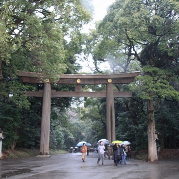 Meiji-jingu, Great torii gate 2