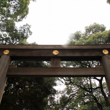 Meiji-jingu, Great torii gate 3