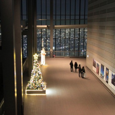 christmas-ornaments-tokyo-22