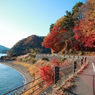 Lake Kawaguchi (Mount Fuji), Red maple trees along the shore in autumn