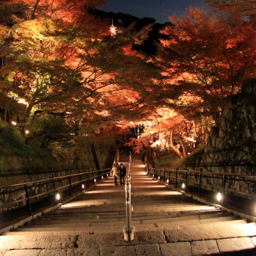 Kiyomizu-dera, Stairway at night during Momiji light-up