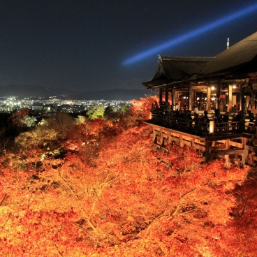 Kiyomizu-dera (Kyoto), Night illuminations during the Koyo period