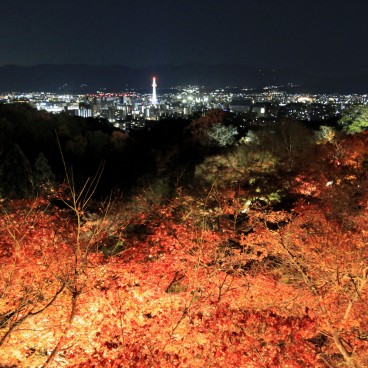 Kiyomizu-dera, Momiji light-up with a view on Kyoto 2