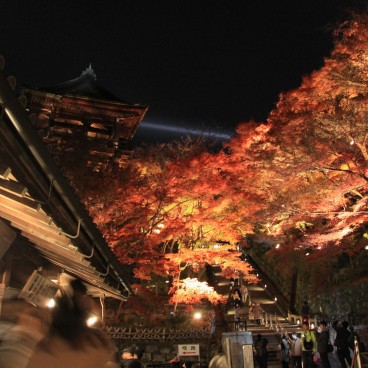 Kiyomizu-dera, Momiji light-up on the slopes 3