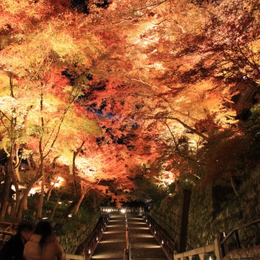 Kiyomizu-dera, Momiji light-up 10