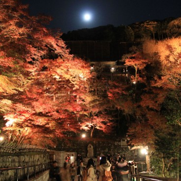 Kiyomizu-dera, Momiji light-up 12