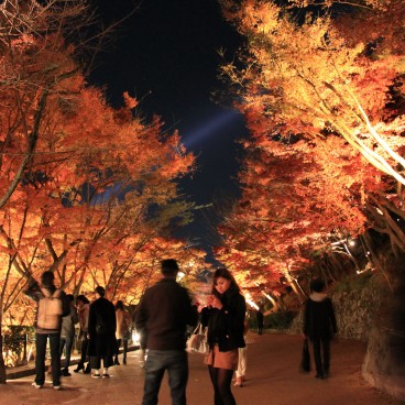 Kiyomizu-dera, Momiji light-up 13