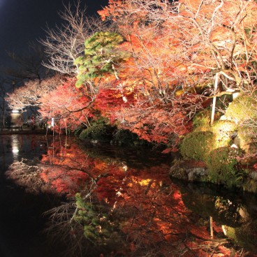 Kiyomizu-dera, Momiji light-up 14