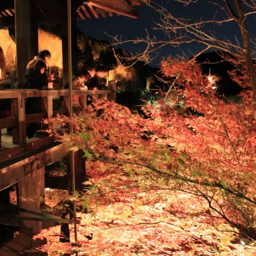Kiyomizu-dera, Momiji light-up 4