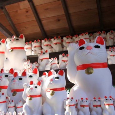 Gotoku-ji (Tokyo), Maneki-Neko cats statues 7