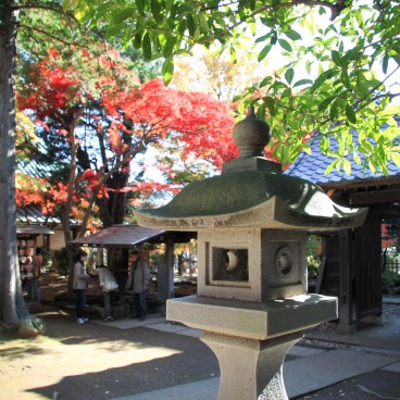 Gotoku-ji (Tokyo), Temple's grounds in autumn
