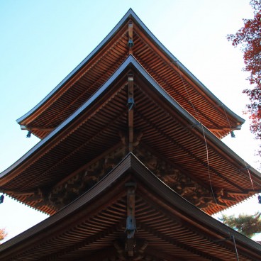 Gotoku-ji (Tokyo), Pagoda