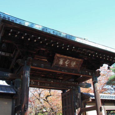 Gotoku-ji (Tokyo), Entrance of the temple
