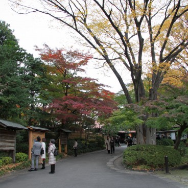 Koishikawa Korakuen (Tokyo) in autumn 2