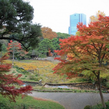 Koishikawa Korakuen (Tokyo) in autumn 8
