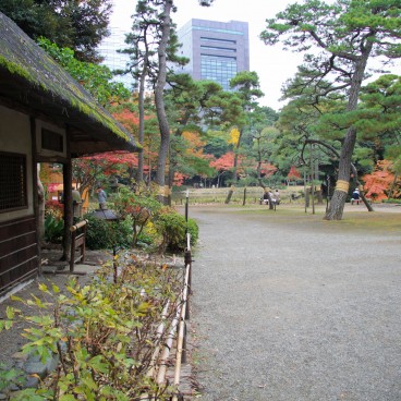 Koishikawa Korakuen (Tokyo) in autumn 10