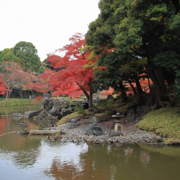 Koishikawa Korakuen (Tokyo) in autumn 11