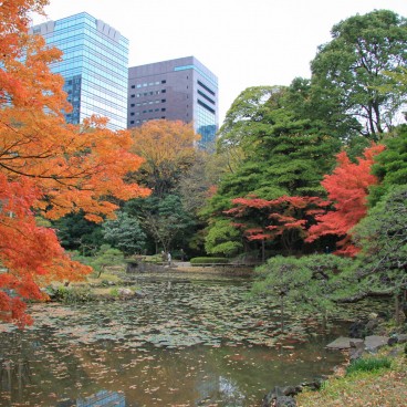 Koishikawa Korakuen, during momiji season (Tokyo)