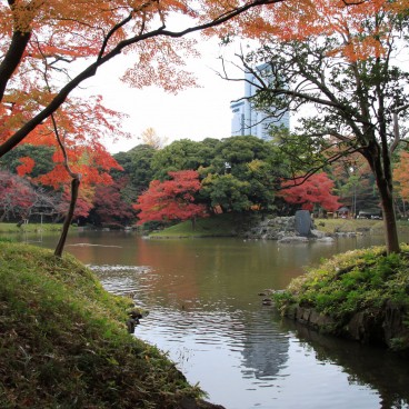 Koishikawa Korakuen (Tokyo) in autumn 14