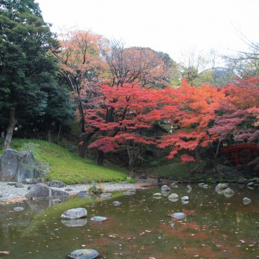 Koishikawa Korakuen (Tokyo) in autumn 5