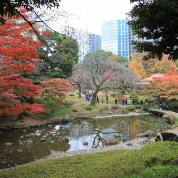 Koishikawa Korakuen (Tokyo) in autumn 6
