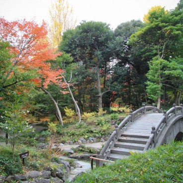 Koishikawa Korakuen (Tokyo) in autumn 7