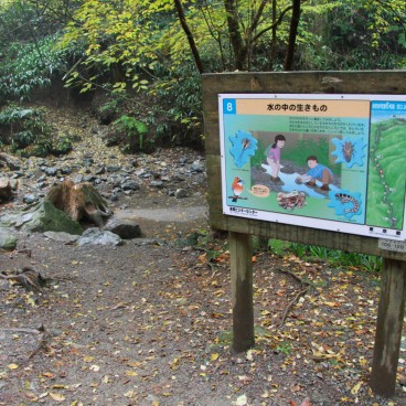 Mount Takao (Tokyo), Educational panel on the forest's environment