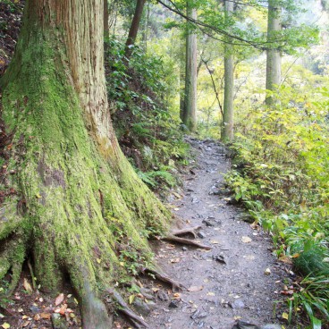 Mount Takao (Tokyo), Hiking trail in the forest