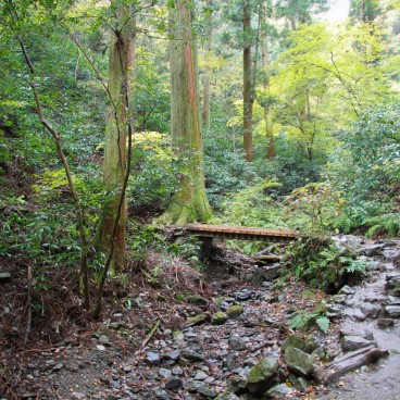 Mount Takao (Tokyo), Bridge on the hiking trail in the forest