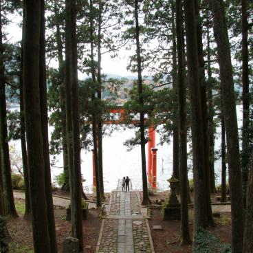 Hakone-jinja shrine 9