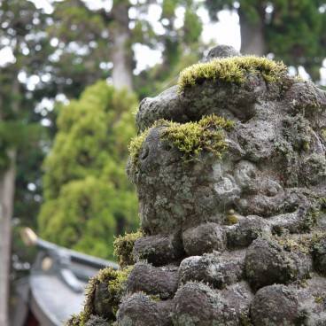 Hakone-jinja shrine 4