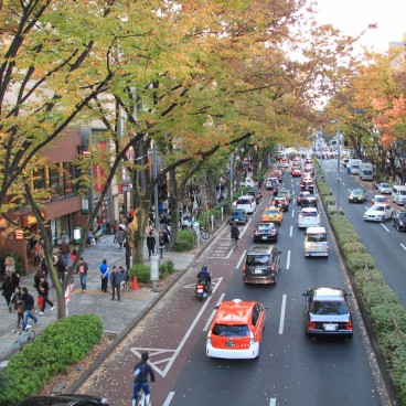 cat-street-harajuku-14
