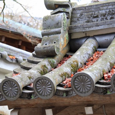 Daisho-in Temple (Miyajima), Old tiled roof covered with red maple leaves in autumn
