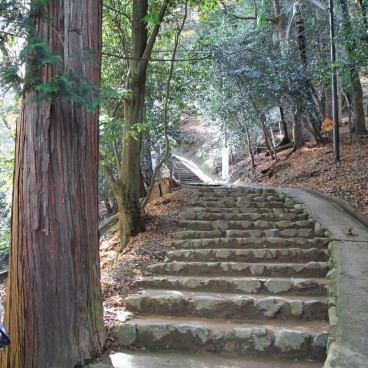 Iwatayama in Kyoto, Walking trail to the top of the mountain