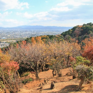 Iwatayama in Kyoto, View on the city from the monkey park in autumn