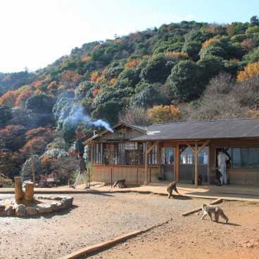 Iwatayama in Kyoto, Monkey Park's main building