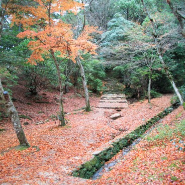 Momijidani Park (Miyajima), Walking path covered in red momiji leaves in autumn 2