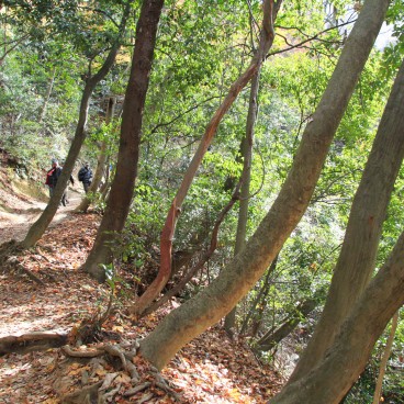 Mount Daimonji in Kyoto, Walking path in autumn 2