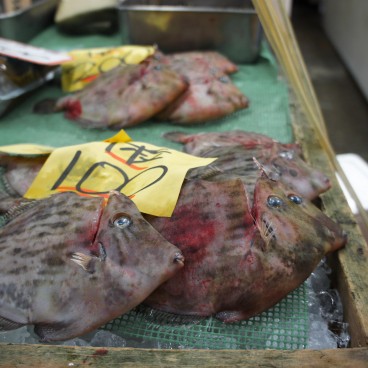 Tsukiji Fish Market, Fish