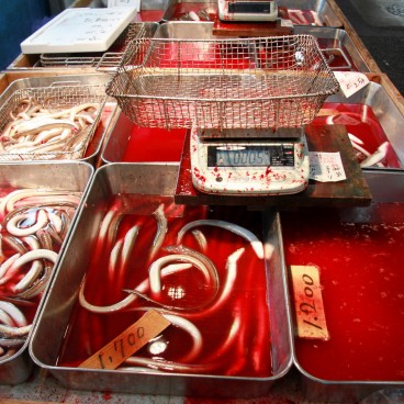 Tsukiji Fish Market, Fishmonger shop