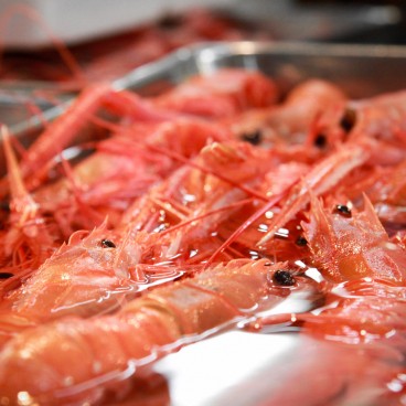 Tsukiji Fish Market, Crustaceans