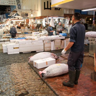 Tsukiji Fish Market, View of the market's alleys before the relocation 3