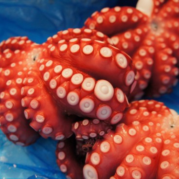 Tsukiji Fish Market, Octopus