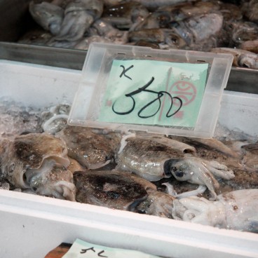 Tsukiji Fish Market, Cuttlefish