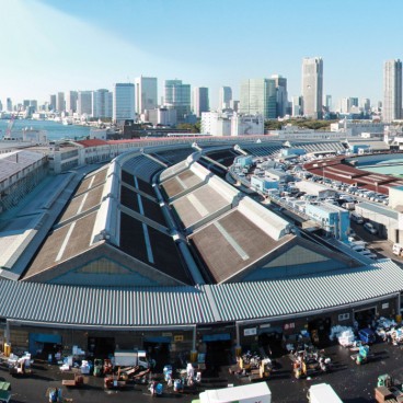 Tsukiji Fish Market, View on the market from a secret spot
