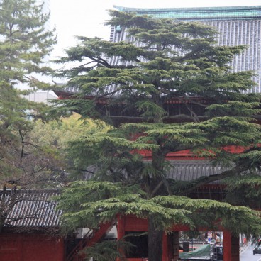 Zojo-ji in Tokyo, Sangedatsu-mon main gate