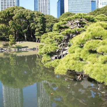 Hamarikyu Garden (Tokyo), Modern buildings reflecting in the pond