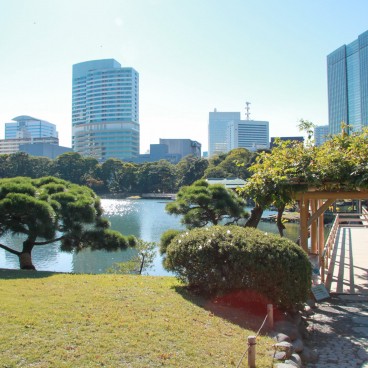 Hamarikyu Garden (Tokyo), Traditional Japanese garden and modern buildings in the background 2