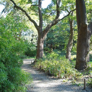 Hamarikyu Garden (Tokyo), Walking path